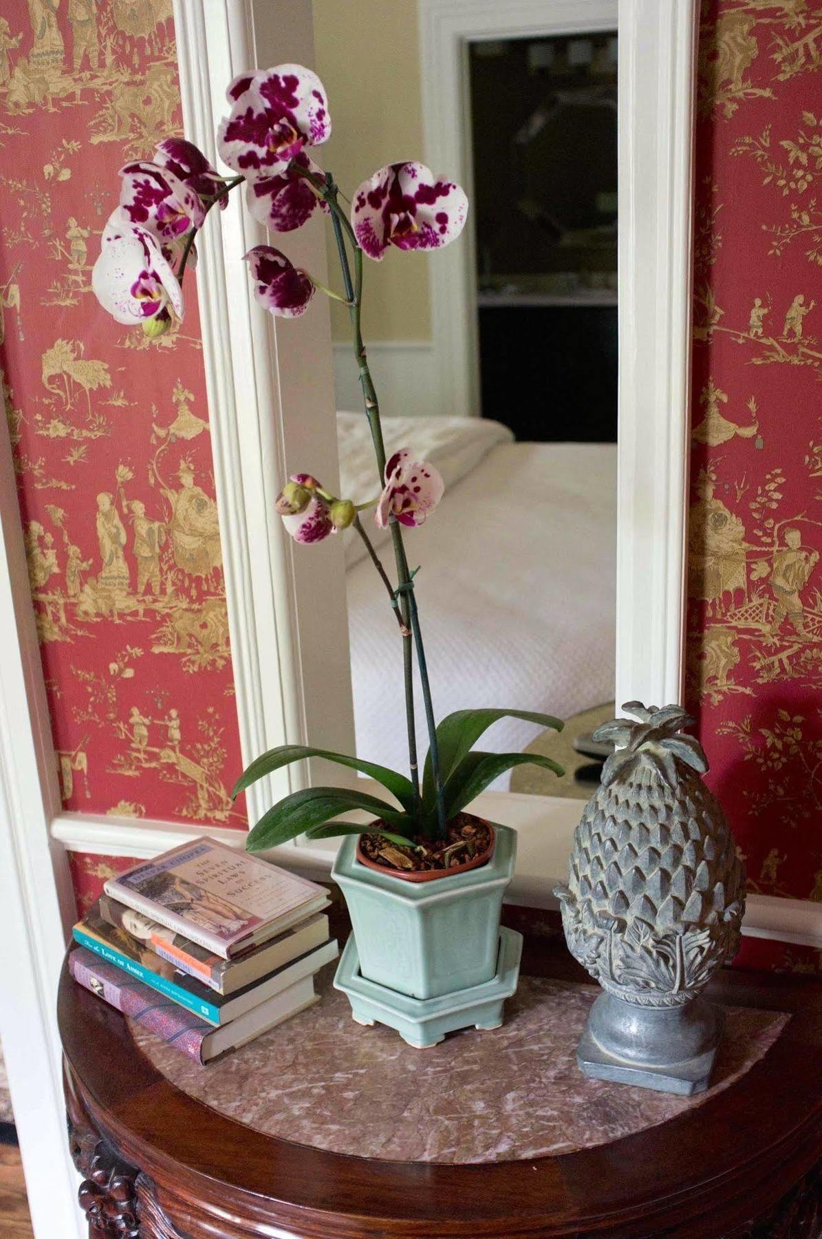 Bed and Breakfast Embrace Calistoga Exterior foto